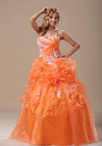 Michigan Appliques Decorate Up Bodice Orange With Hand Made Flowers Floor-length Prom Pag