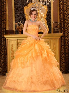 Orange Ball Gown Strapless Floor-length Organza Appliques Quinceanera Dress