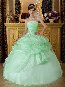 Apple Green Ball Gown Strapless Floor-length Organza Beading Ruch Quinceanera Dress
