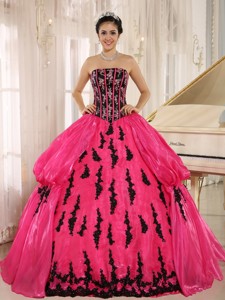 Hot Pink New Arrival Strapkess Embroidery Decorate For Quinceanera Dress In Montero