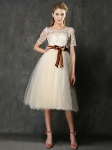 See Through Scoop Short Sleeves Dama Dress With Bowknot And Lace