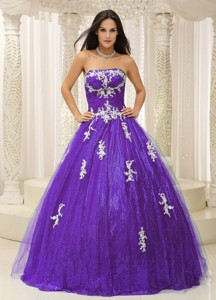 Wonderful Pron Dress With Appliques Paillette Over Skirt Tulle