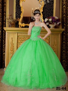 Spring Green Ball Gown Strapless Floor-length Organza Beading Quinceanera Dress
