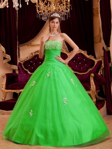 Spring Green Princess Strapless Floor-length Appliques Tulle Quinceanera Dress