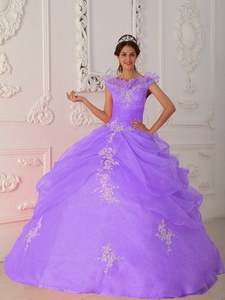 Lavender Ball Gown V-neck Floor-length Taffeta and Organza Appliques with Beading Quinceanera Dress