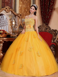Gold Ball Gown Sweetheart Floor-length Tulle Appliques Quinceanera Dress