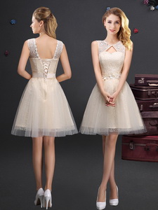 Hot Sale Scoop Laced And Applique Champagne Quinceanera Court Dress