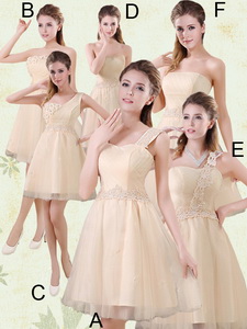 The Brand New Style Mini Length Quinceanera Court Dress