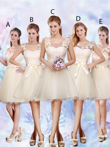 Modest A Line Appliques And Belt Quinceanera Court Dress In Champagne