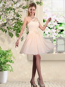 Lovely One Shoulder Quinceanera Court Dress With Hand Made Flowers