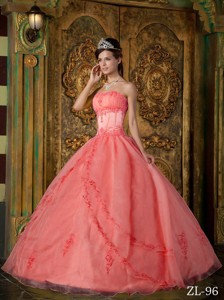 Watermelon Ball Gown Strapless Floor-length Appliques Organza Quinceanera Dress