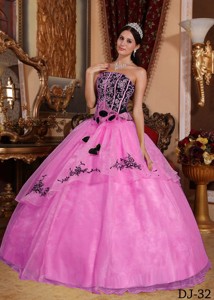 Hot Pink and Black Strapless Floor-length Embroidery Quinceanera Dress