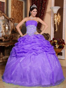 Purple Ball Gown Strapless Floor-length Organza Appliques Quinceanera Dress