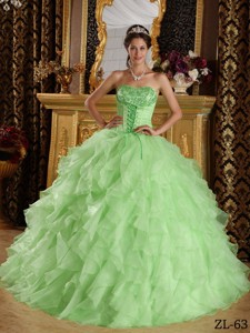 Apple Green Ball Gown Strapless Floor-length Satin and Organza Embroidery with Beading Quinceanera D