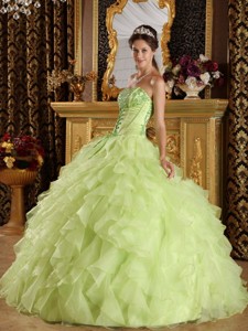 Yellow Green Ball Gown Strapless Floor-length Satin and Organza Embroidery with Beading Quinceanera