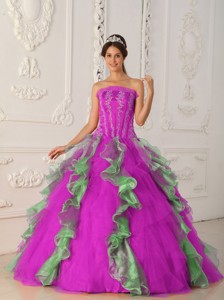 Hot Pink and Green Ball Gown Strapless Floor-length Appliques and Beading Quinceanera Dress