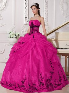 Coral Red and Black Ball Gown Strapless Floor-length Organza Appliques Quinceanera Dress