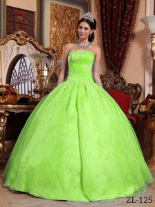 Yellow Green Ball Gown Strapless Floor-length Organza Appliques Quinceanera Dress