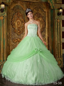 Apple Green Ball Gown Strapless Floor-length Appliques Tulle Quinceanera Dress