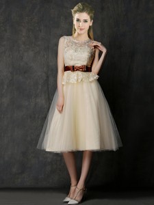 Classical See Through Scoop Dama Dress With Bowknot And Lace