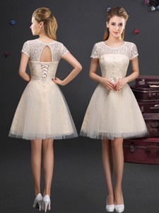 Beautiful See Through Short Sleeves Champagne Dama Dress With Scoop