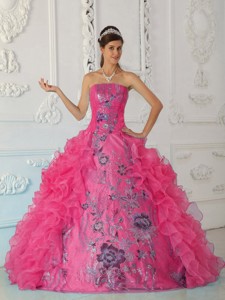 Exquisite Ball Gown Strapless Floor-length Embroidery Hot Pink Quinceanera Dress