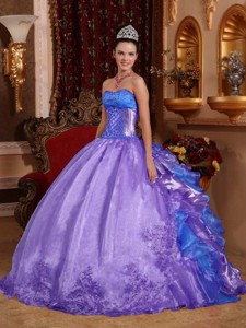 Purple Ball Gown Strapless Floor-length Organza Embroidery Quinceanera Dress