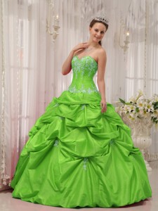 Spring Green Ball Gown Sweetheart Floor-length Taffeta Appliques Quinceanera Dress