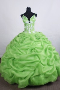 Lovely Ball Gown Straps Floor-length Quinceanera Dress Appliques