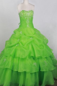 Sweet Ball Gown Strapless Floor-length Spring Green Quincenera Dress