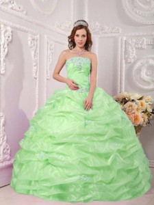 Exclusive Ball Gown Strapless Floor-length Organza Appliques Apple Green Quinceanera Dress