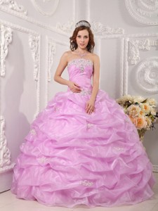 Exclusive Ball Gown Strapless Floor-length Organza Appliques Rose Pink Quinceanera Dress