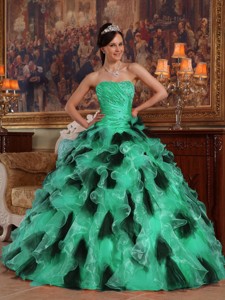 Green and Black Ball Gown Strapless Floor-length Organza Quinceanera Dress