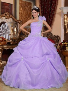 Lilac Ball Gown One Shoulder Floor-length Organza Appliques Quinceanera Dress