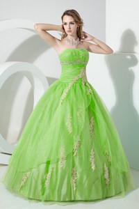Spring Green Ball Gown Strapless Floor-length Organza Beading and Embroidery Quinceanera Dress