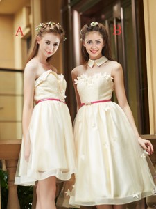 Best Selling Champagne Organza Bridesmaid Dress with Appliques and Sashes