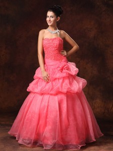 Watermelon Red S And Appliques Strapless Organza New Arrival Prom Gowns