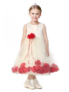 Best Scoop Flower Girl Dress with Red Hand Made Flowers 