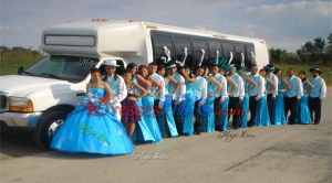 Beautiful Really Puffy Applique and Bubble Baby Blue Quinceanera Package