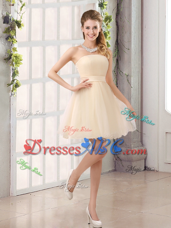 2017 Perfect A Line Organza Dama Dress with Mini Length