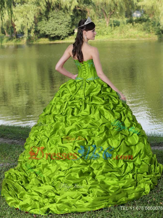 Appliques And Pick-ups Spring Green Brush Train Exquisite Style Quinceanera Dress