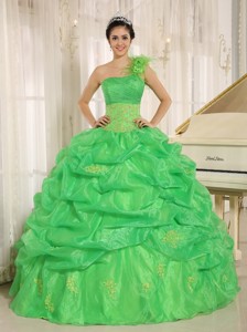 Hot In Sucre City Spring Green One Shoulder Quinceaners Dress With Embroidery And Pick-ups Deco