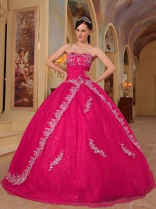 Hot Pink Ball Gown Sweetheart Floor-length Organza Embroidery and Beading Quinceanera Dress